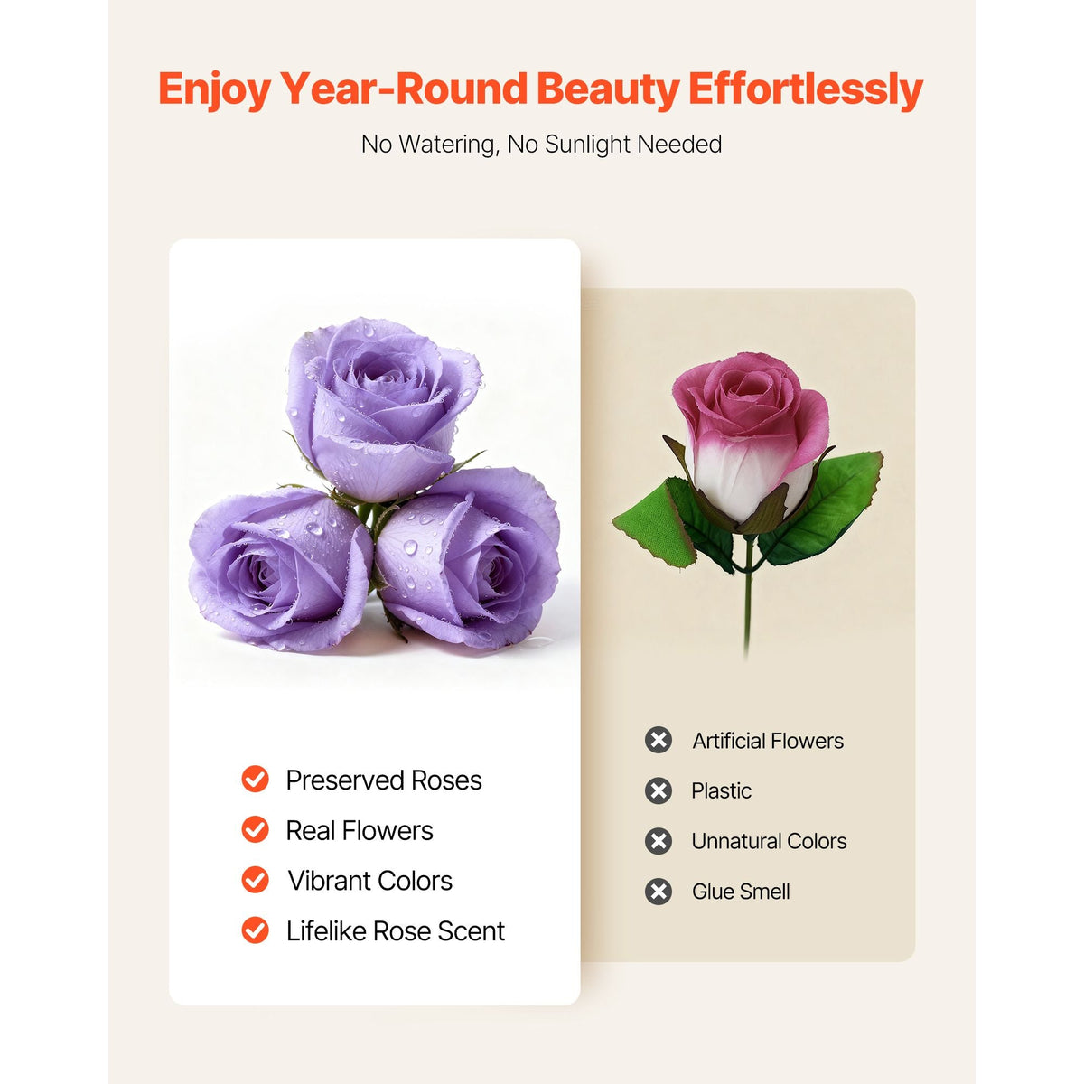 Forever Flowers, 50 Preserved Roses in a Box, Eternal Flowers Immortal Bouquet Birthday Present for Women Her Wife Mothers, Anniversary, Valentine's Day,Christmas, Lavender Purple