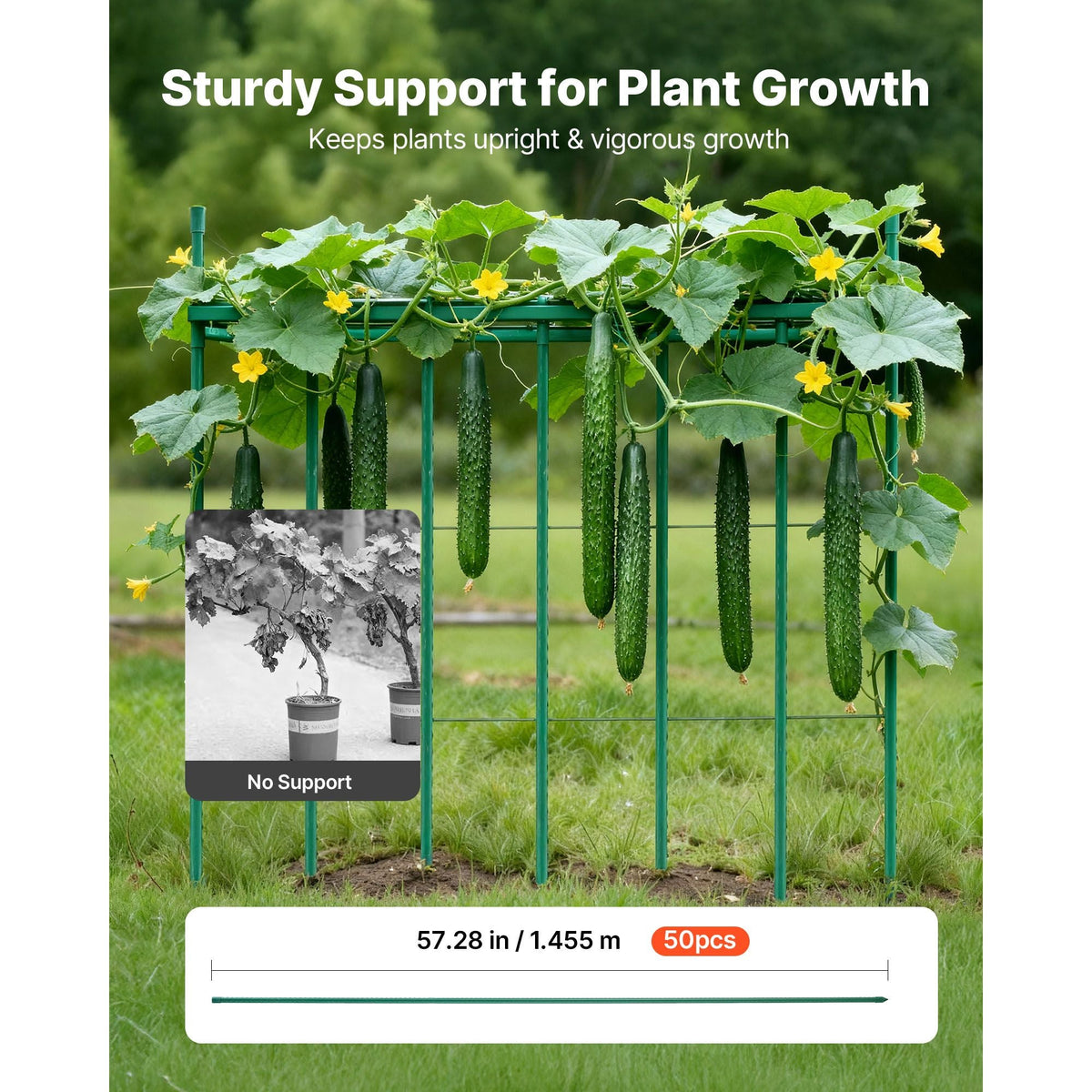 Garden Stakes, 50 Pack, 57.28 inch, Plastic Coated Metal Tomato Stakes, Garden Sticks for Plants Support, with Pointed End and Non-Slip Bumps for Growing Climbing Plants, Outdoor Vegetables