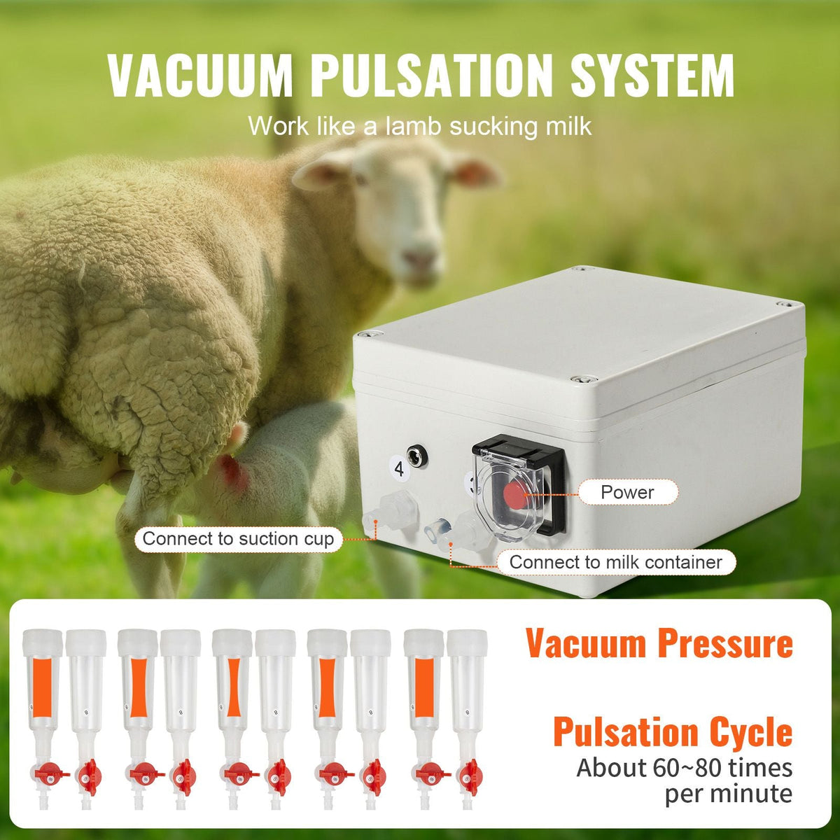 Goat Milking Machine, 3 L 304 Stainless Steel Bucket, Electric Automatic Pulsation Vacuum Milker, Portable Milker with Food-grade Silicone Cups and Tubes, Suction for Sheep