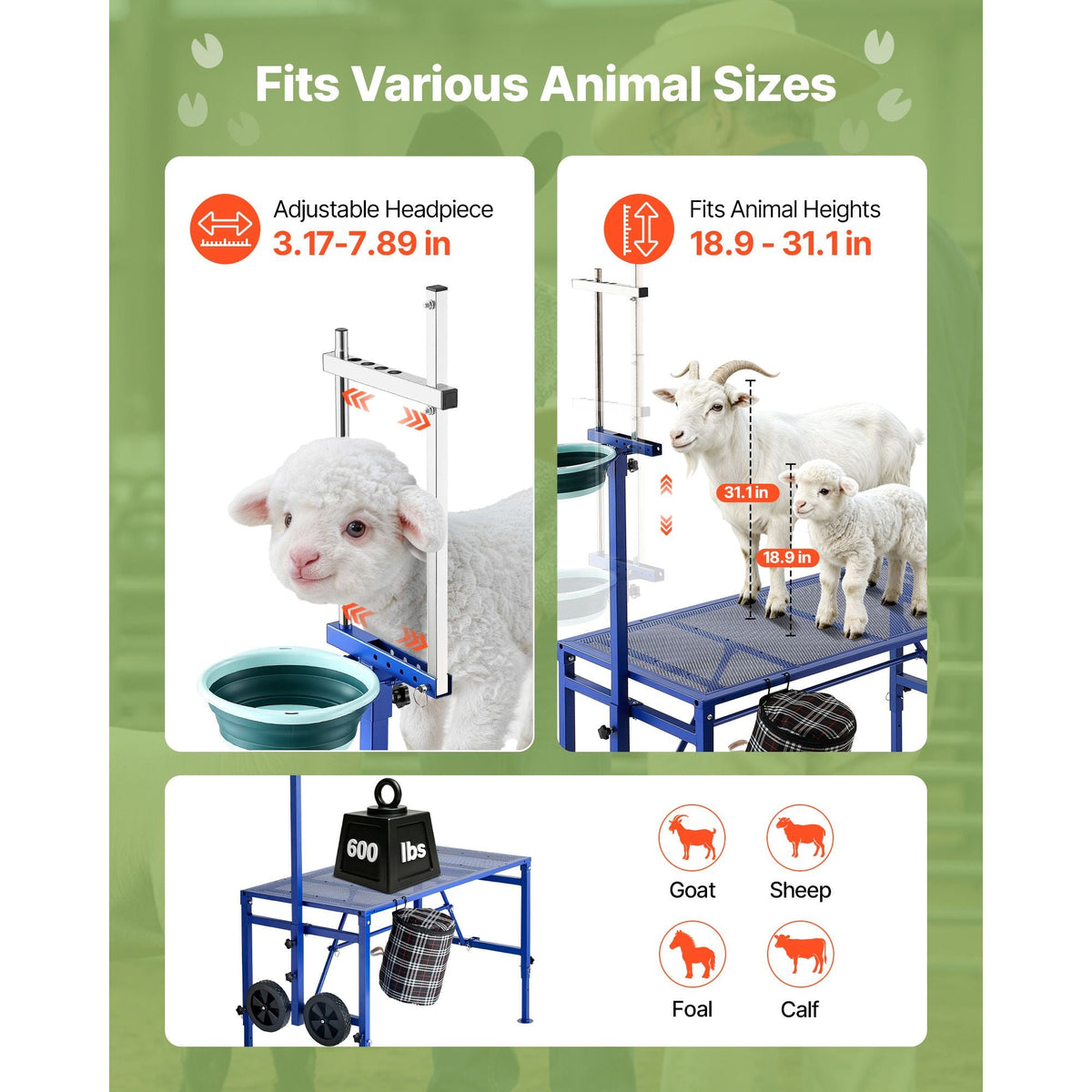 Goat Milking Stand, 600 lbs Heavy Duty Foldable Goat Stand with Feed Bin & Wheels, Adjustable Headpiece & Tool Basket, Stanchion for Grooming & Hoof Trimming, Metal Livestock Platform for Sheep