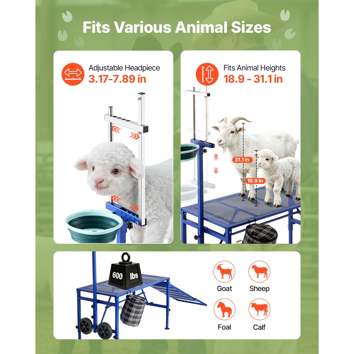 Goat Milking Stand, 600 lbs Heavy Duty Foldable Goat Stand with Ramp, Feed Bin & Wheels, Adjustable Headpiece & Basket, Stanchion for Grooming & Hoof Trimming, Metal Livestock Platform for Sheep