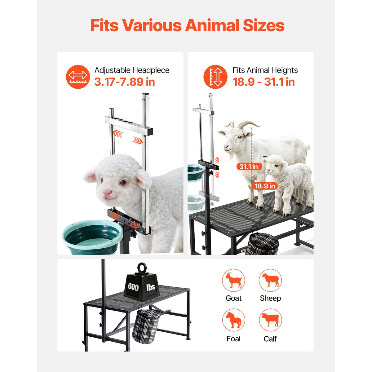 Goat Milking Stand, 600 lbs Heavy Duty Goat Stand with Feed Bin, Adjustable Headpiece & Tool Basket, Stanchion for Grooming & Hoof Trimming, Metal Livestock Platform for Sheep, 51" x 23", Black