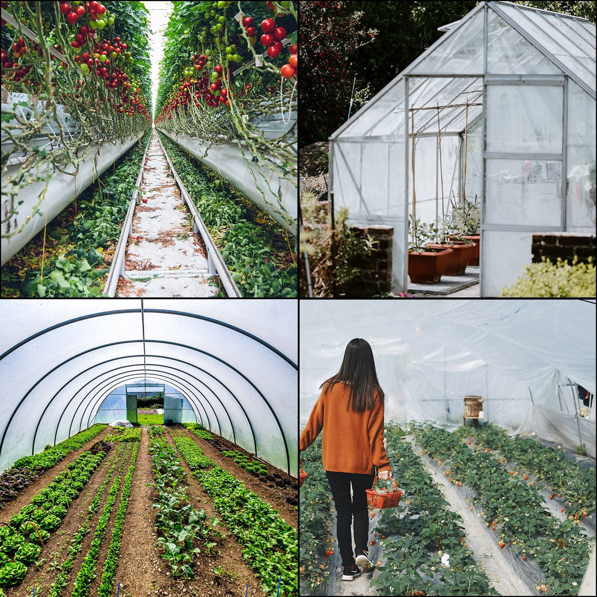 Greenhouse Film 20 x 28 ft, Greenhouse Polyethylene Film 6 Mil Thickness, Greenhouse Plastic Greenhouse Clear Plastic Film UV Resistant, Polyethylene Film Keep Warming, Superior Strength