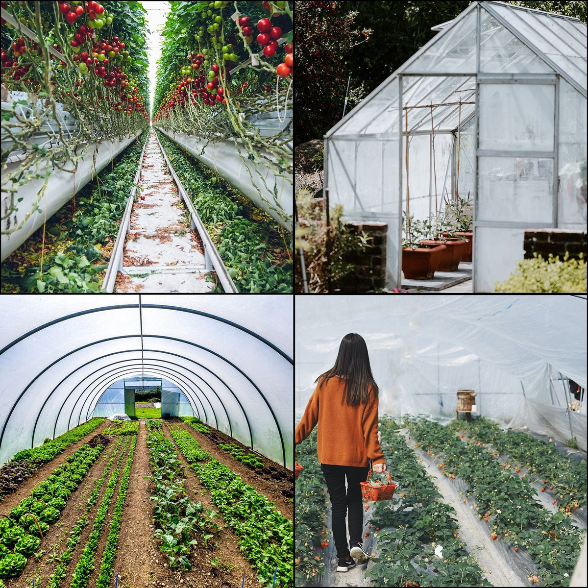 Greenhouse Film 8 x 25 ft, Greenhouse Polyethylene Film 6 Mil, Clear Greenhouse Plastic Greenhouse Plastic Film UV Resistant, Polyethylene Film to Keep Warming, Superior Strength