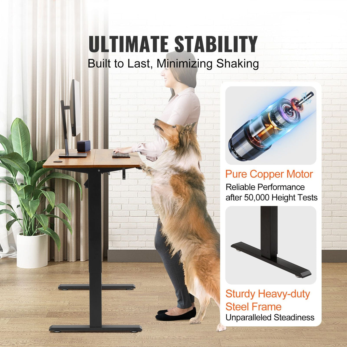 Height Adjustable Desk, 47.2 x 23.6 in, 3-Key Modes Electric Standing Desk, Whole Piece Desk Board, Sturdy Dual Metal Frame, Max. Loading 180 LBS Computer Sit Stand up Desk, for Home and Office