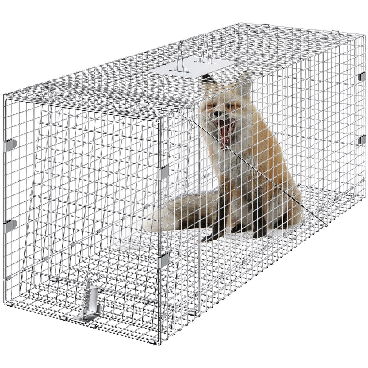 Humane Live Animal Trap, Dimensions 50" x 20" x 26", Crafted from Galvanized Iron, Collapsible Design with Carrying Handle for Capturing Stray Dogs, Armadillos, Raccoons, Marmots, and Foxes