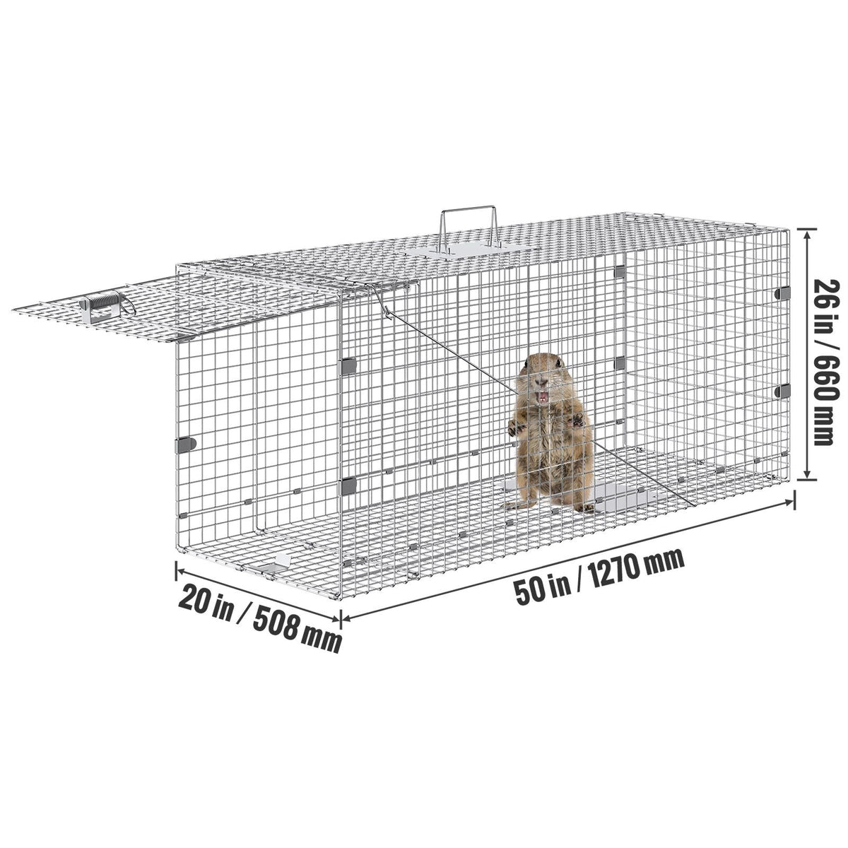Humane Live Animal Trap, Dimensions 50" x 20" x 26", Crafted from Galvanized Iron, Collapsible Design with Carrying Handle for Capturing Stray Dogs, Armadillos, Raccoons, Marmots, and Foxes