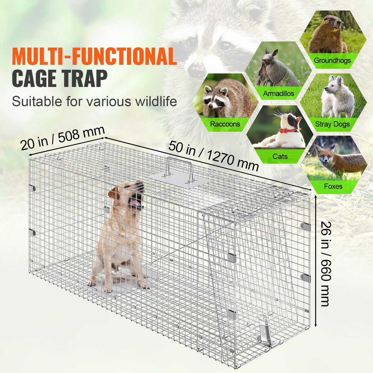 Humane Live Animal Trap, Dimensions 50" x 20" x 26", Crafted from Galvanized Iron, Collapsible Design with Carrying Handle for Capturing Stray Dogs, Armadillos, Raccoons, Marmots, and Foxes