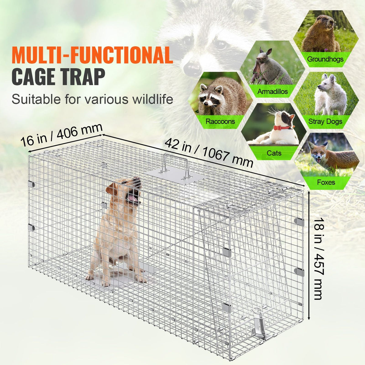 Live Animal Cage Trap, 42" x 16" x 18" Humane Cat Trap Galvanized Iron, Folding Animal Trap with Handle for Stray Dogs, Armadillos, Raccoons, Marmots, Foxes