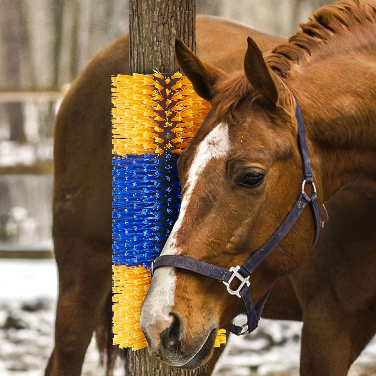 Livestock Scratching Brush, 4 Pcs Horse Brush with 8 Screws, 20 x 7.5 in Cow Scratcher, for Back Itch Relief & Keep Cleaning, Grooming & Scratching Post Brush for Horse, Pig, Cattle Supplies