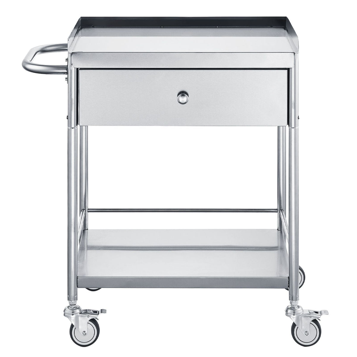 Medical Cart, 2-Layer Stainless Steel Cart 220 lbs Weight Capacity, Lab Utility Cart with 360° Silent Wheels and a Drawer for Lab, Clinic, Kitchen, Salon