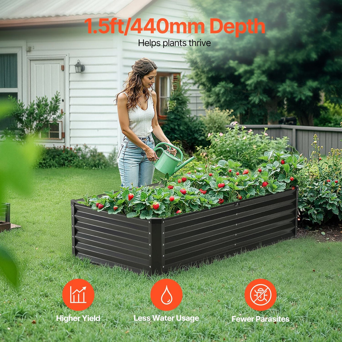 Metal Raised Garden Bed, 6 x 3 x 1.5 ft Outdoor Galvanized Planter Box, with Open Bottom, Large Planter Raised Bed for Gardening Vegetables, Flowers, Herbs, and Succulent Plants, Dark Gray