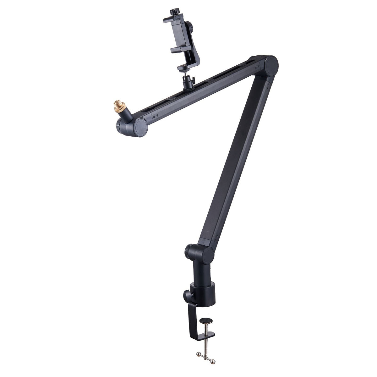 Microphone Boom Arm with Desk Mount, 360° Rotatable, Adjustable Mic Stand with 3/8" to 5/8" Adapter Port, for Recording Blue Yeti Hyperx Quadcast Blue Snowball Shure SM7B Audio Technica