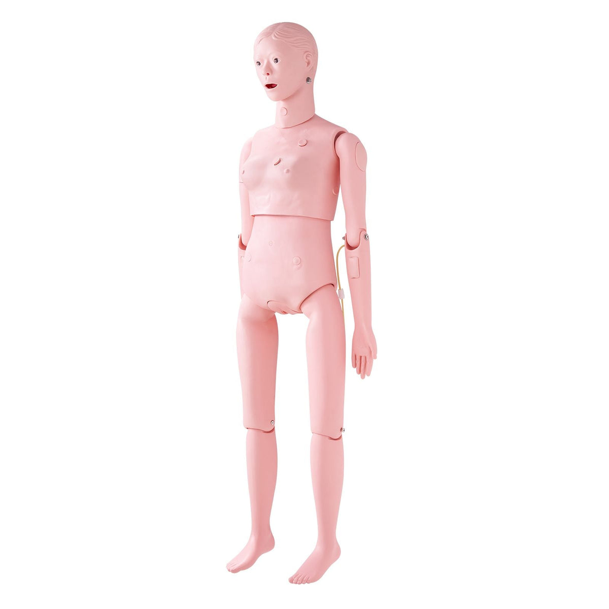 Nursing Training Manikin, Female Life Size Demonstration Human Manikin for Nursing Training, Multifunctional Education Teaching Model Supplies, PVC Anatomical Mannequin Body Care Simulator Model