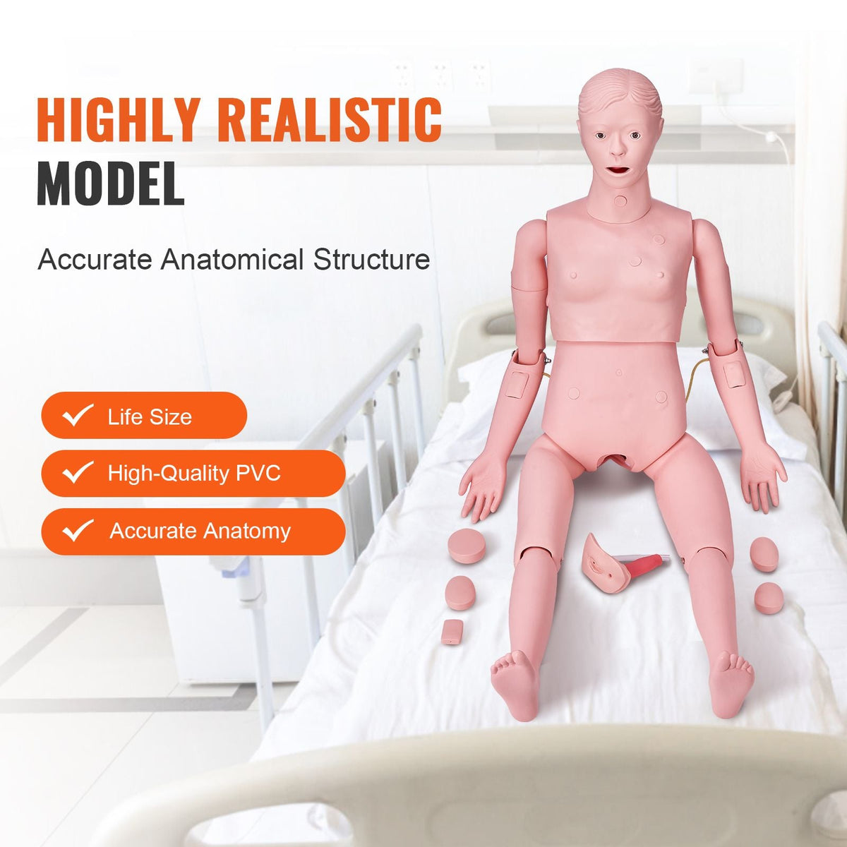 Nursing Training Manikin, Female Life Size Demonstration Human Manikin for Nursing Training, Multifunctional Education Teaching Model Supplies, PVC Anatomical Mannequin Body Care Simulator Model