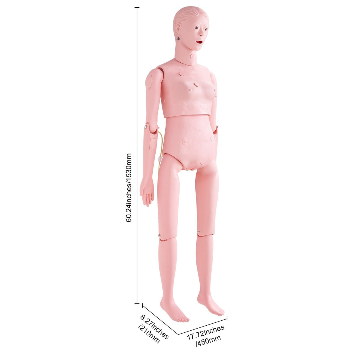 Nursing Training Manikin, Female Life Size Demonstration Human Manikin for Nursing Training, Multifunctional Education Teaching Model Supplies, PVC Anatomical Mannequin Body Care Simulator Model
