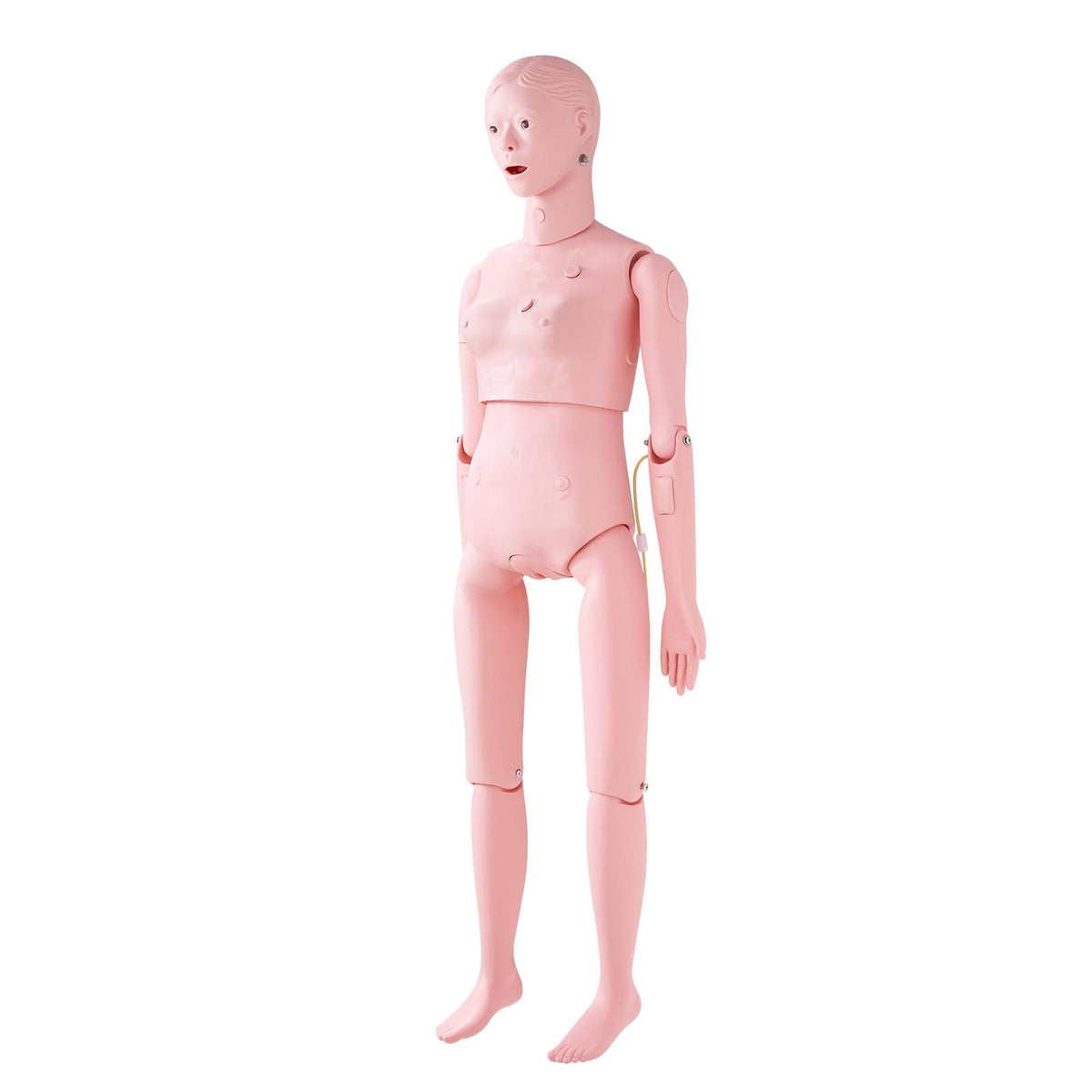 Nursing Training Manikin, Female Life Size Demonstration Human Manikin for Nursing Training, Multifunctional Education Teaching Model Supplies, PVC Anatomical Mannequin Body Care Simulator Model