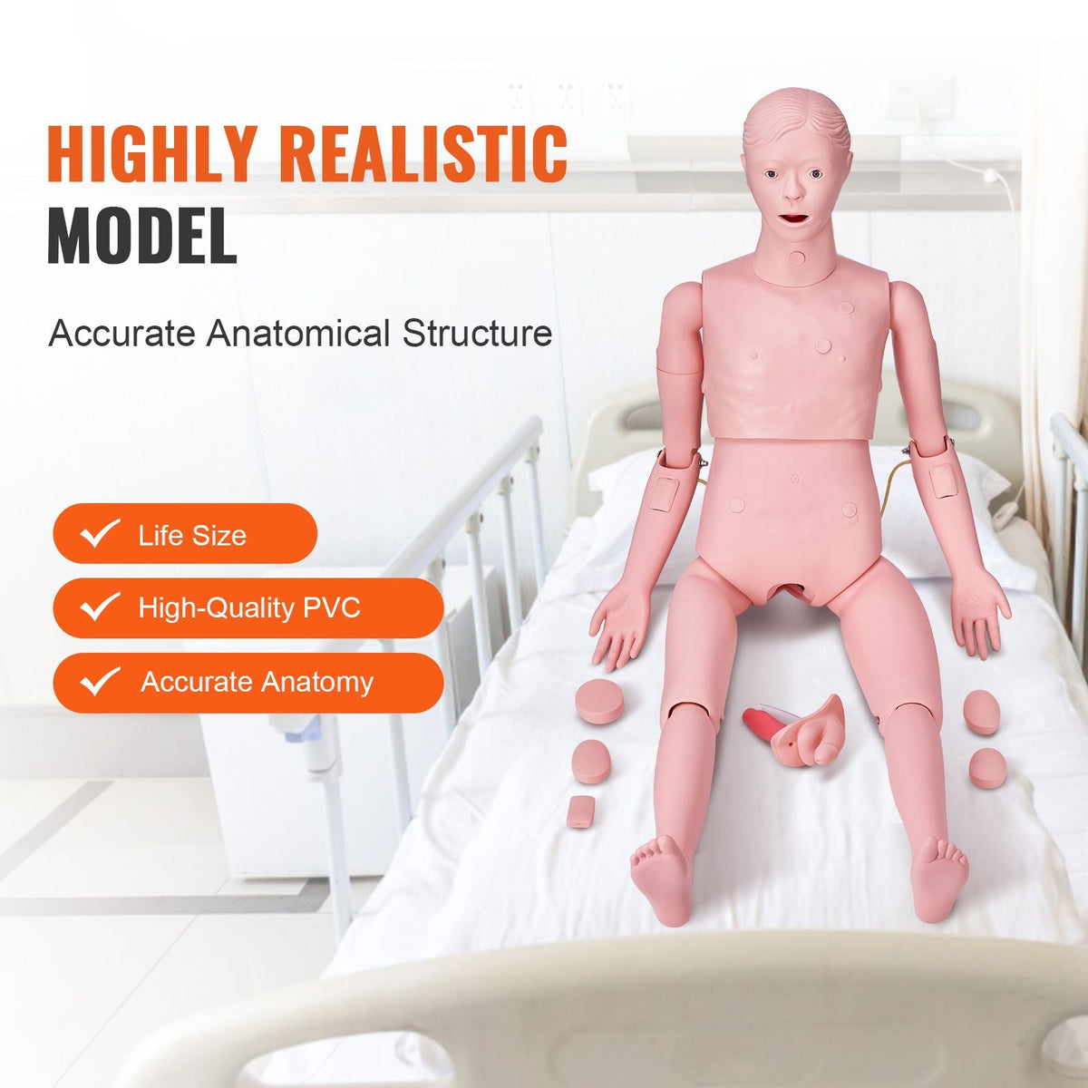 Nursing Training Manikin, Male Life Size Demonstration Human Manikin for Nursing Training, Multifunctional Education Teaching Model Supplies, PVC Anatomical Mannequin Body Care Simulator Model