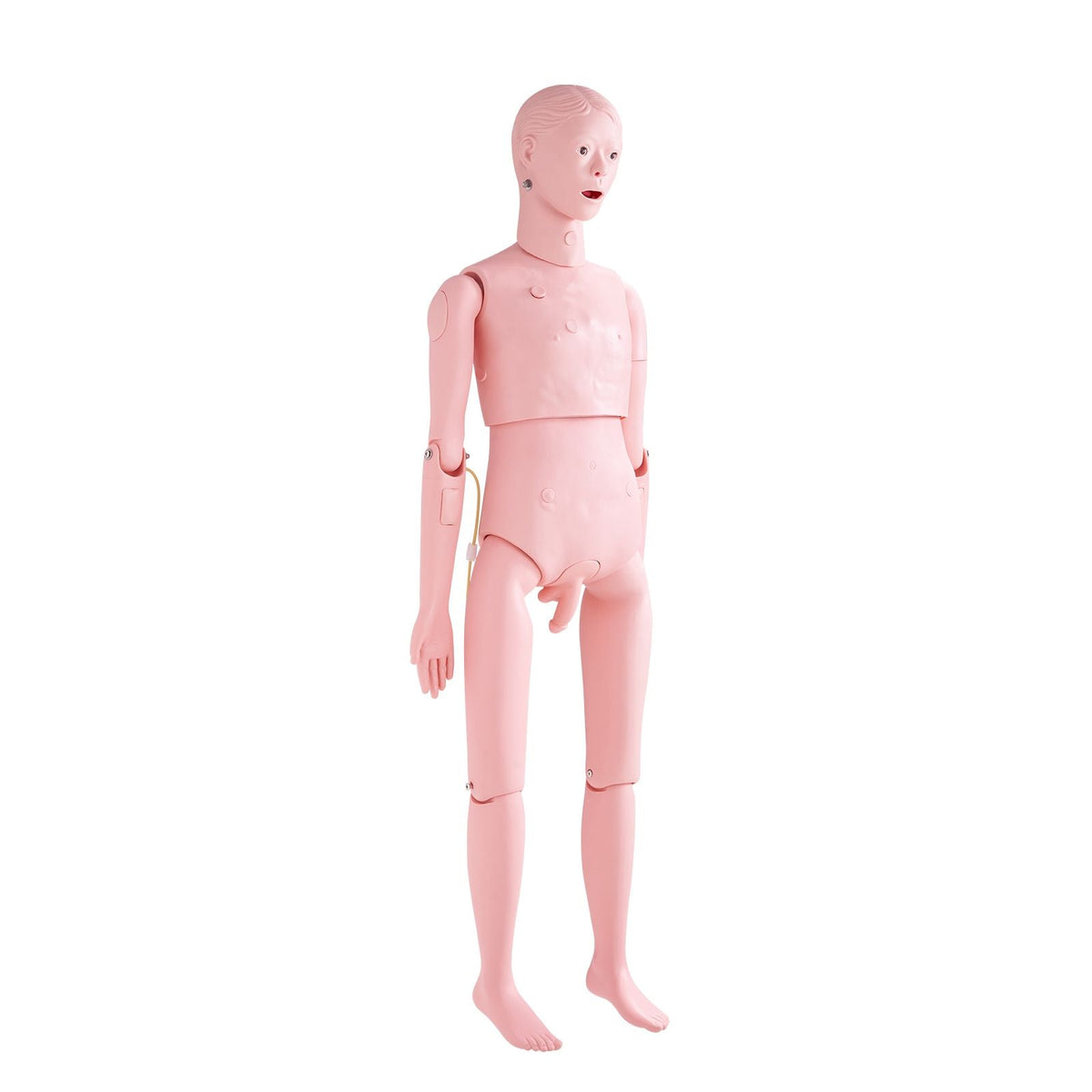 Nursing Training Manikin, Male Life Size Demonstration Human Manikin for Nursing Training, Multifunctional Education Teaching Model Supplies, PVC Anatomical Mannequin Body Care Simulator Model