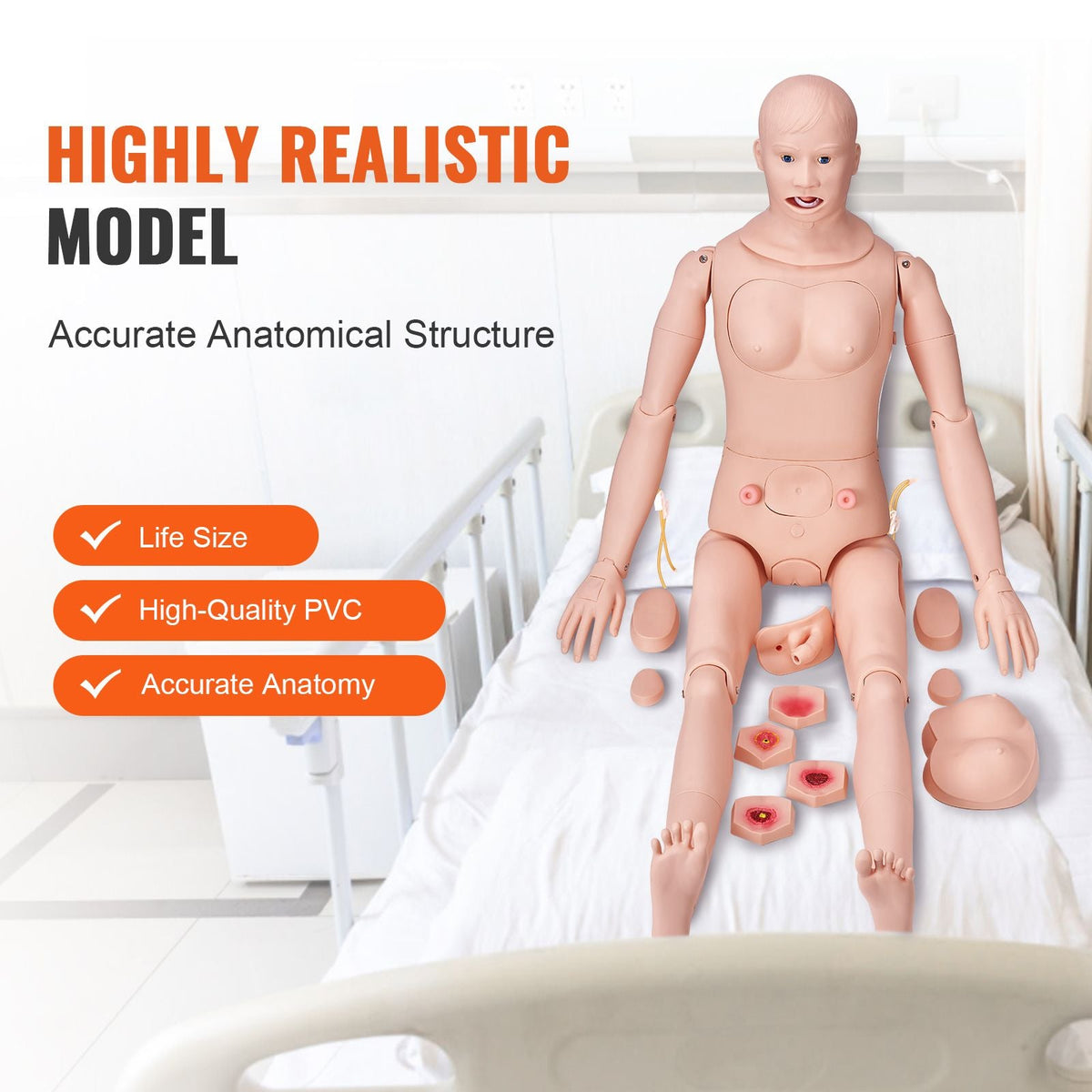 Nursing Training Manikin, Male/Female Life Size Demonstration Human Manikin for Nursing Training, Multifunctional Education Teaching Model, PVC Anatomical Mannequin Body Care Simulator Model