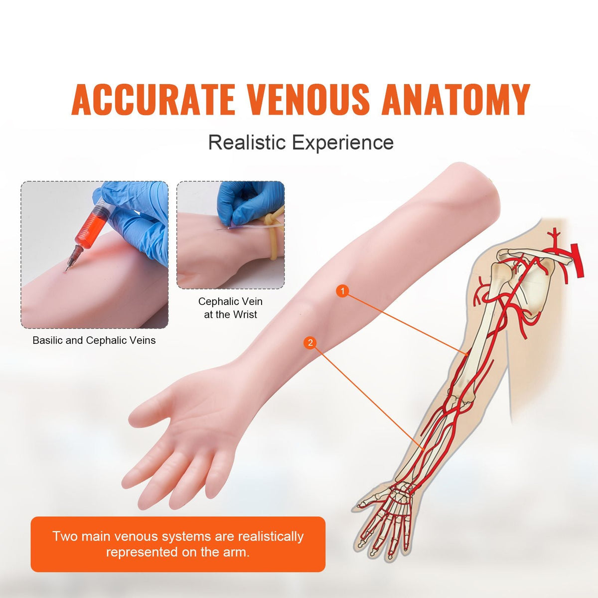Phlebotomy Practice Kit, IV Venipuncture Intravenous Training Kit, High Simulation IV Practice Arm Kit with Carrying Bag, Practice and Perfect IV Skills, for Students Nurses and Professionals