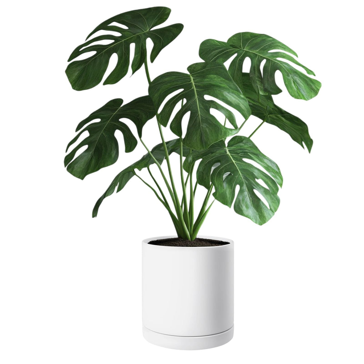 Plant Pot, 12-Inch Large Cylinder Planter with Drainage Holes, Non-Slip Pads & Detachable Saucer, Modern Ceramic Flower Pots, Indoor and Outdoor Tree Planter Pot, Home & Office Decorations