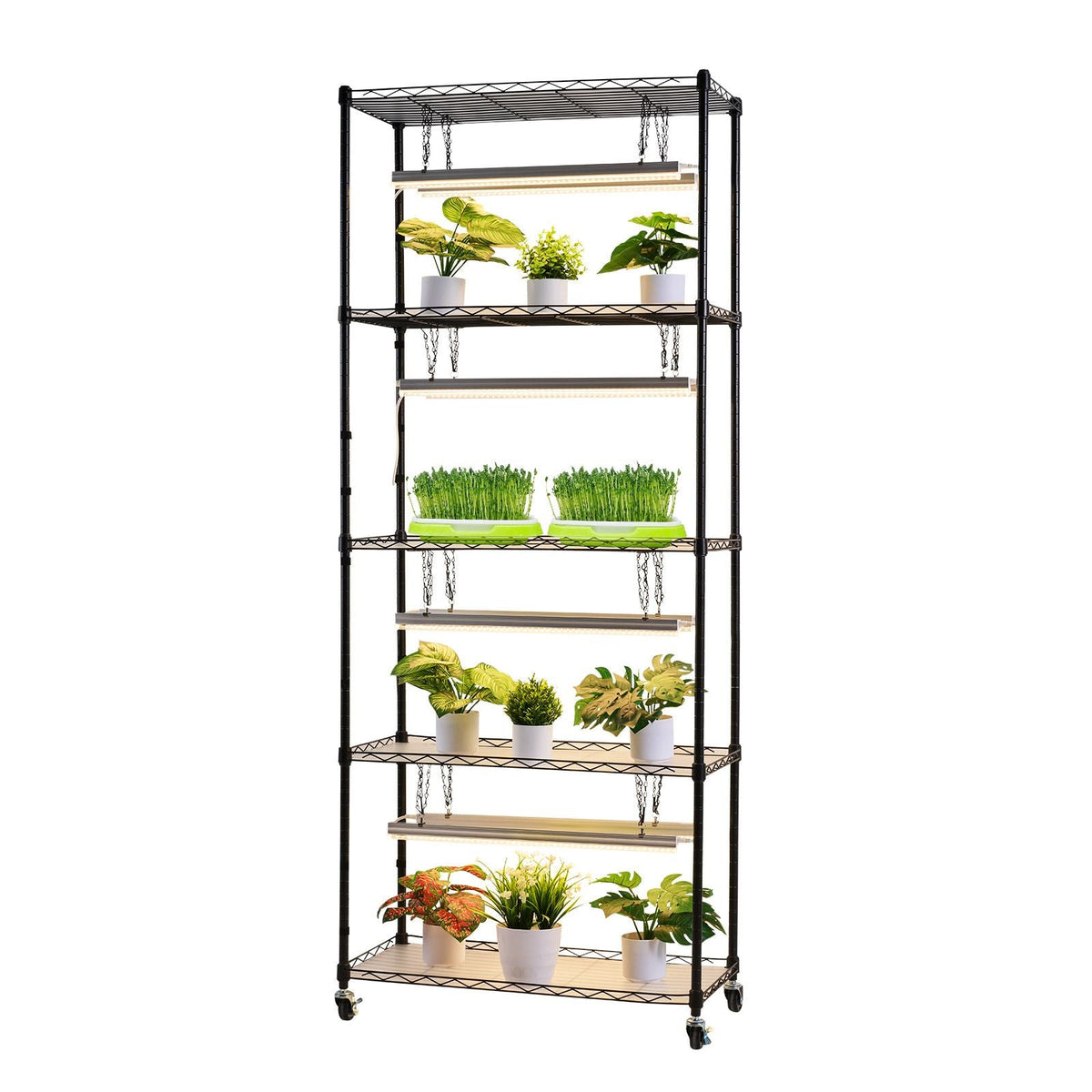 Plant Shelf with Grow Light, 5-Tier Indoor Plant Stand, 71 in Tall Plants Display Rack with Wheels & 4/9/14H Timer, 80W T5 LED Full Spectrum Grow Lights, Flower Pot Holder for Seed Starting