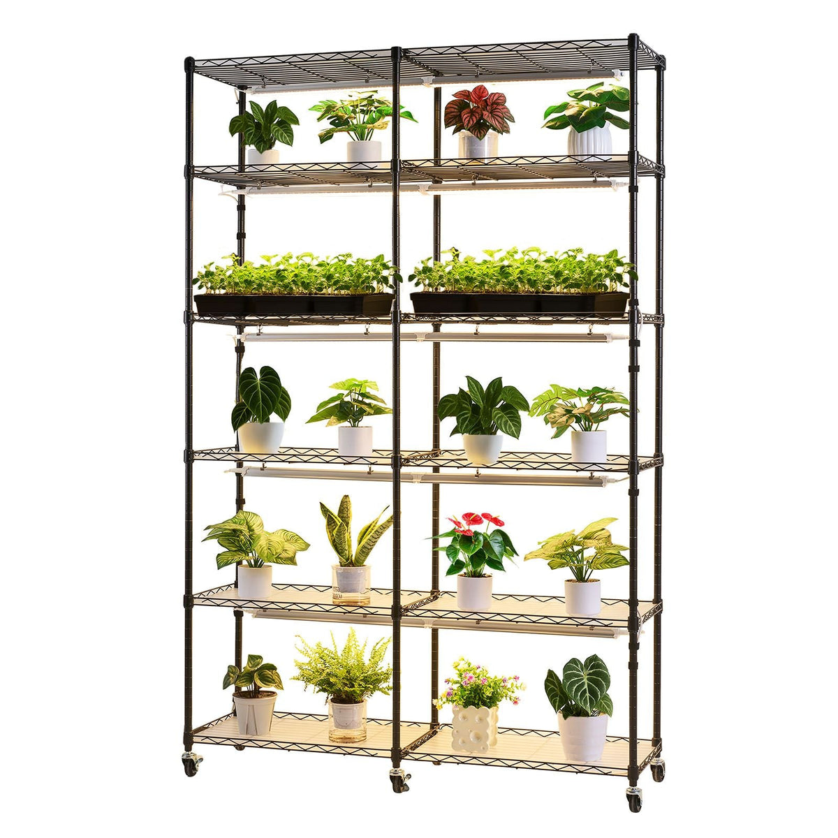 Plant Shelf with Grow Light, 6-Tier Double-Row Plant Stand, 71in Tall Indoor Plants Display Rack with Wheels & Timer, 200W Full Spectrum Grow Lights, Metal Flower Pot Holder for Seed Starting