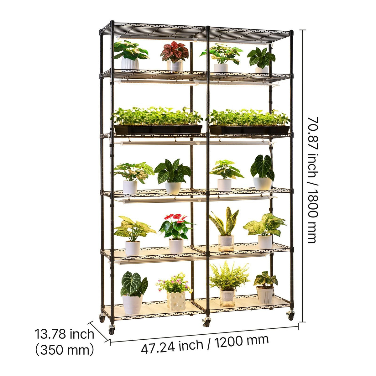 Plant Shelf with Grow Light, 6-Tier Double-Row Plant Stand, 71in Tall Indoor Plants Display Rack with Wheels & Timer, 200W Full Spectrum Grow Lights, Metal Flower Pot Holder for Seed Starting