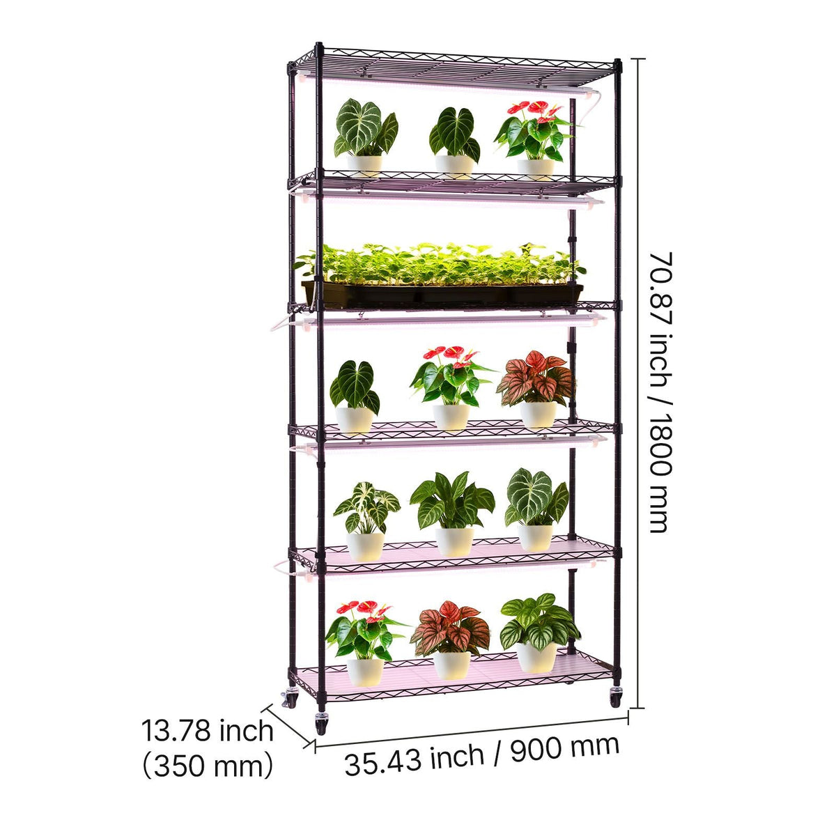 Plant Shelf with Grow Light, 6-Tier Indoor Plant Stand, 71in Tall Indoor Plants Display Rack with Wheels & Timer, 150W 3800K Full Spectrum Grow Lights, Metal Flower Pot Holder for Seed Starting