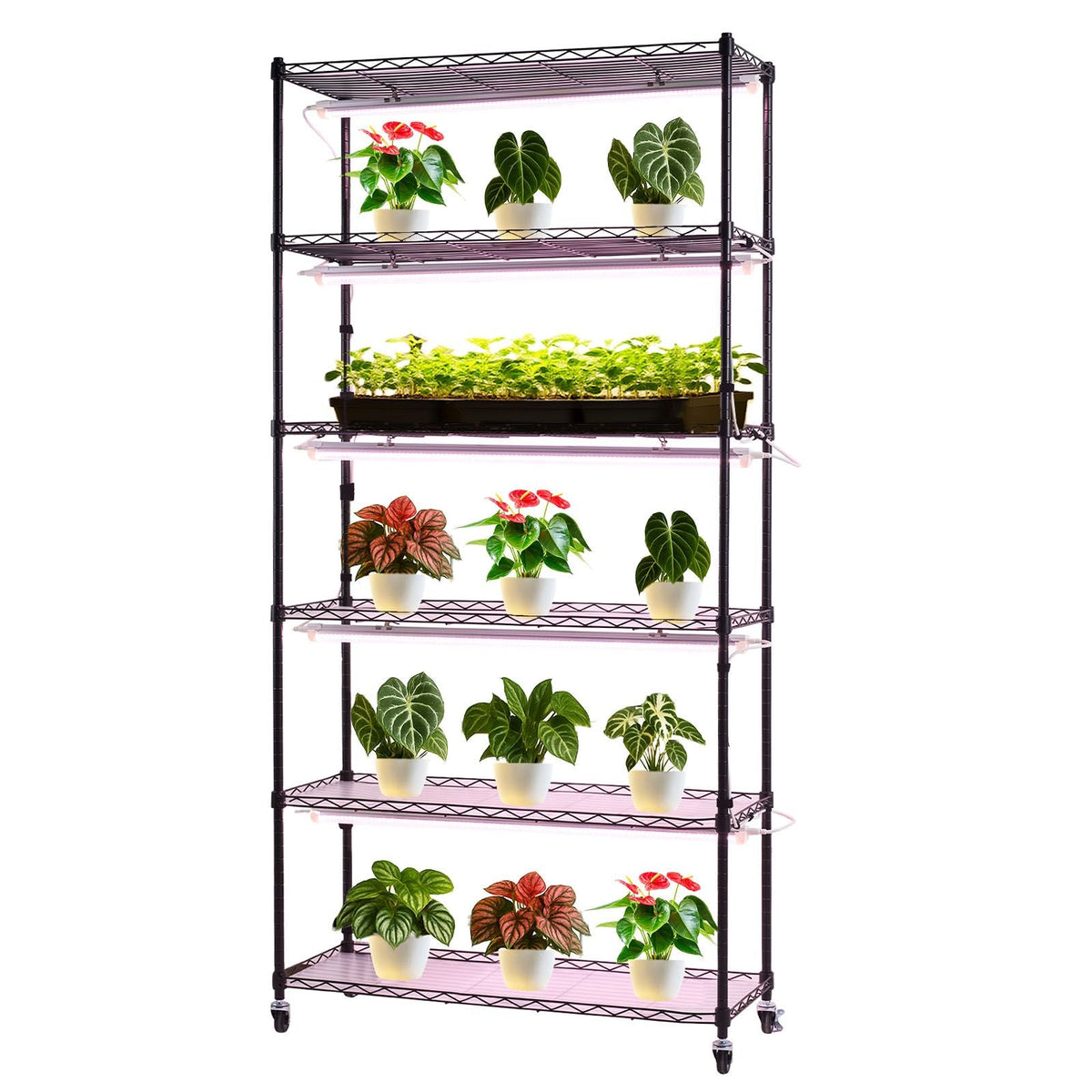 Plant Shelf with Grow Light, 6-Tier Indoor Plant Stand, 71in Tall Indoor Plants Display Rack with Wheels & Timer, 150W 3800K Full Spectrum Grow Lights, Metal Flower Pot Holder for Seed Starting