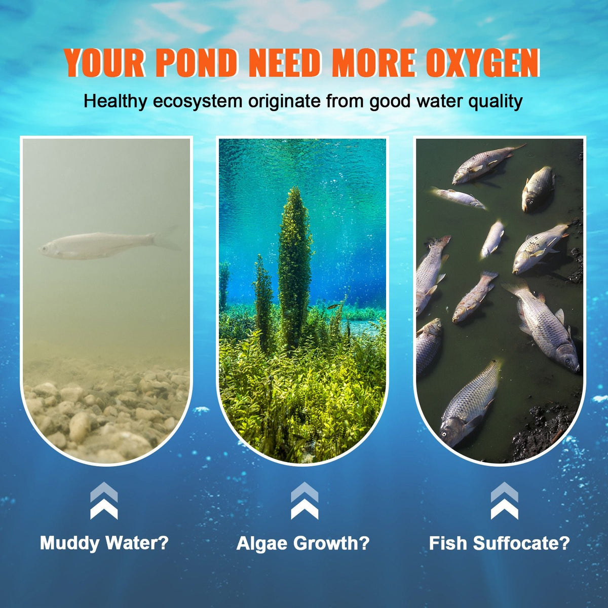 Pond Aerator, 550W Power, 5.2CFM for Up to 3 Acre 50' Lake, Pond Aeration Kit Includes 3/4 HP Compressor & 2 100' Weighted Tubings & 2 Diffusers, Air Compressor for Deep Water Oxygen Circulation