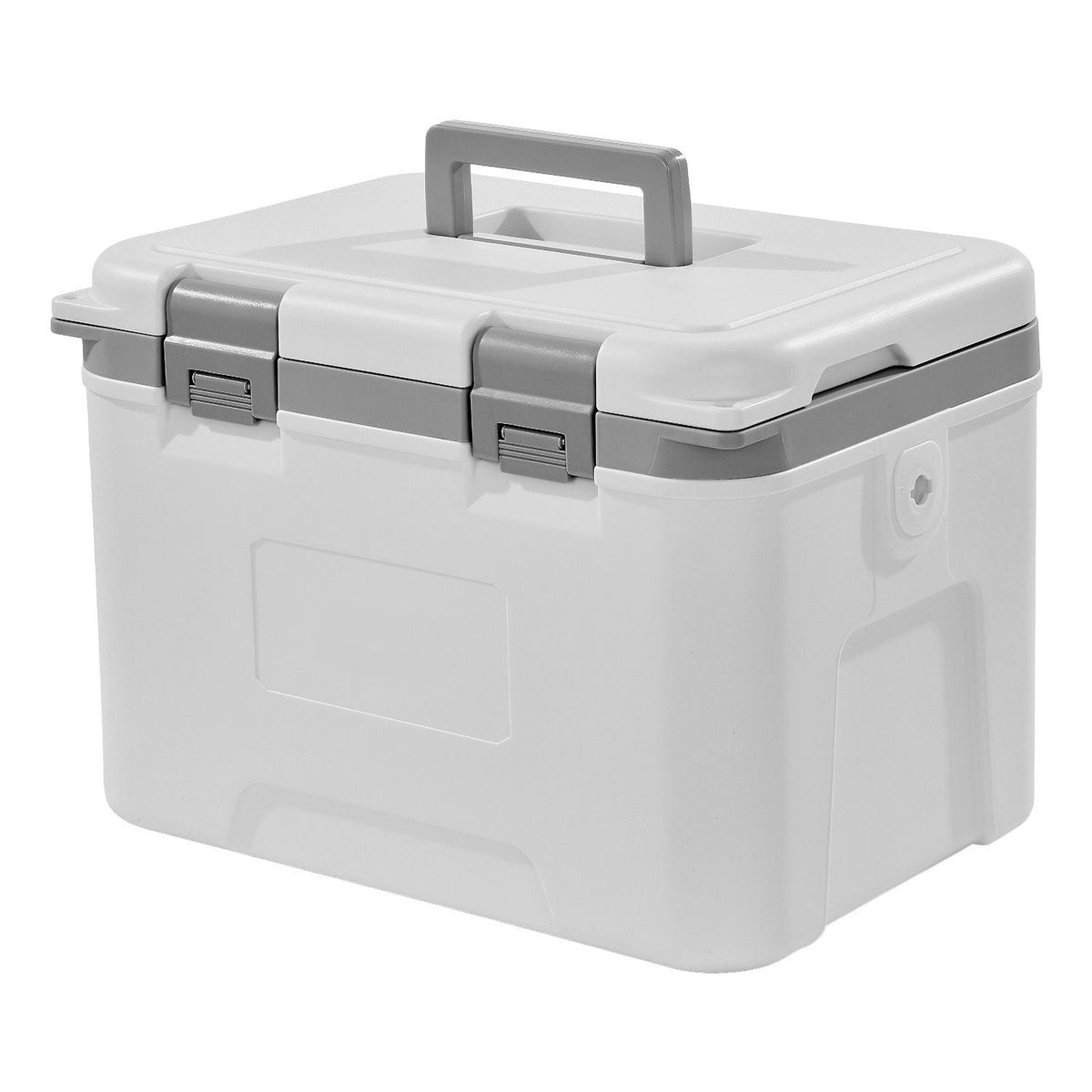Portable Cooler, 21 QT Hard Cooler with Ice Retention, Heavy-Duty Handles and Strap, Lightweight Rigid Material Insulated Portable Cooler, Suitable for Family Picnics and Short Trips