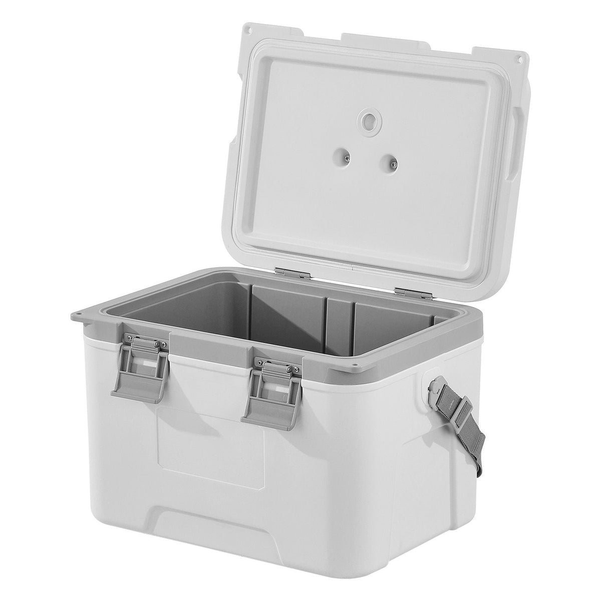 Portable Cooler, 21 QT Hard Cooler with Ice Retention, Heavy-Duty Handles and Strap, Lightweight Rigid Material Insulated Portable Cooler, Suitable for Family Picnics and Short Trips
