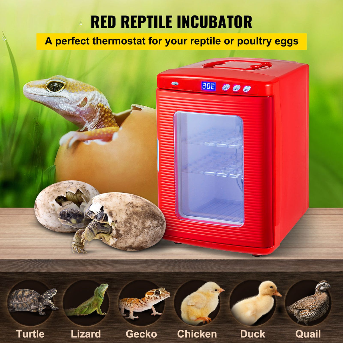 Reptile Incubator 25L Digital Egg Incubator 5-42 Celsius for Small Reptiles