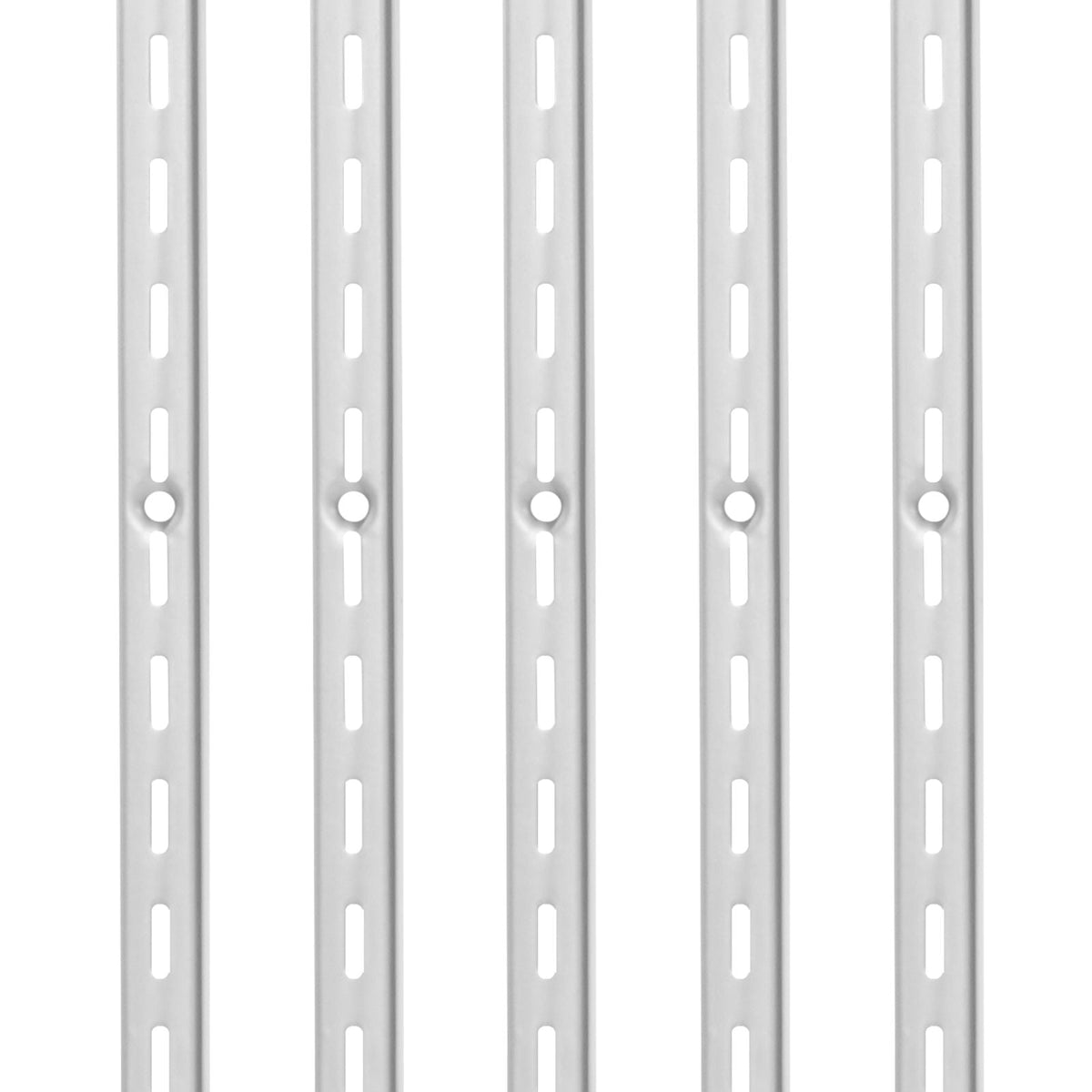 Shelf Pilaster, 39-inch 10 Pack, Upright Wall Shelving System, Heavy Duty Support System Single Slot Shelf Rails, 40 Screws Included, Suitable for Cabinet Closet Organization Storage, Silver