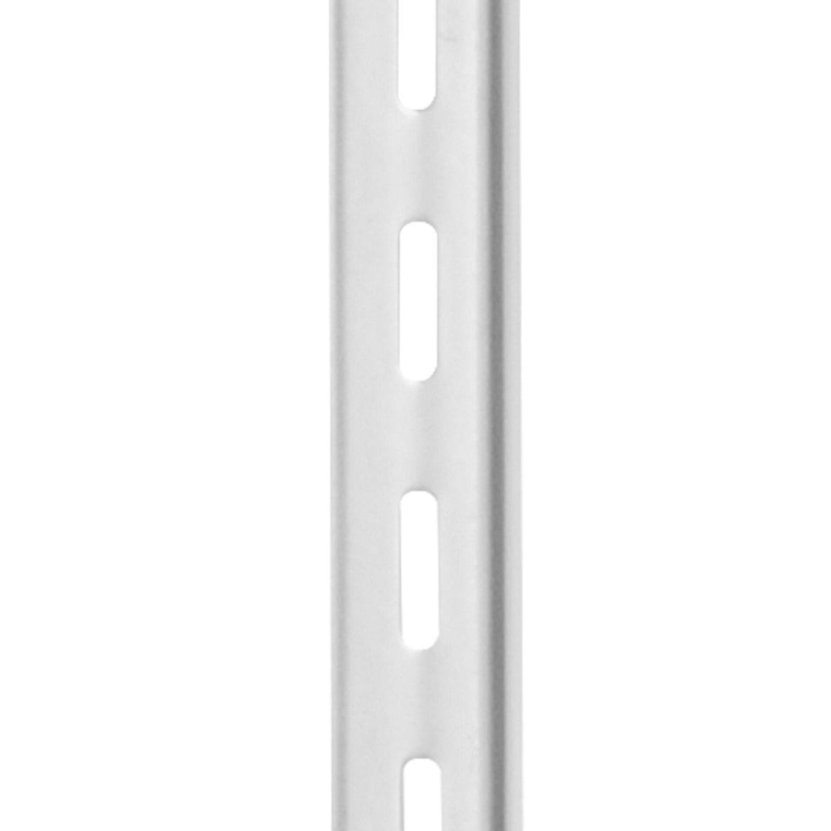 Shelf Pilaster, 39-inch 10 Pack, Upright Wall Shelving System, Heavy Duty Support System Single Slot Shelf Rails, 40 Screws Included, Suitable for Cabinet Closet Organization Storage, Silver