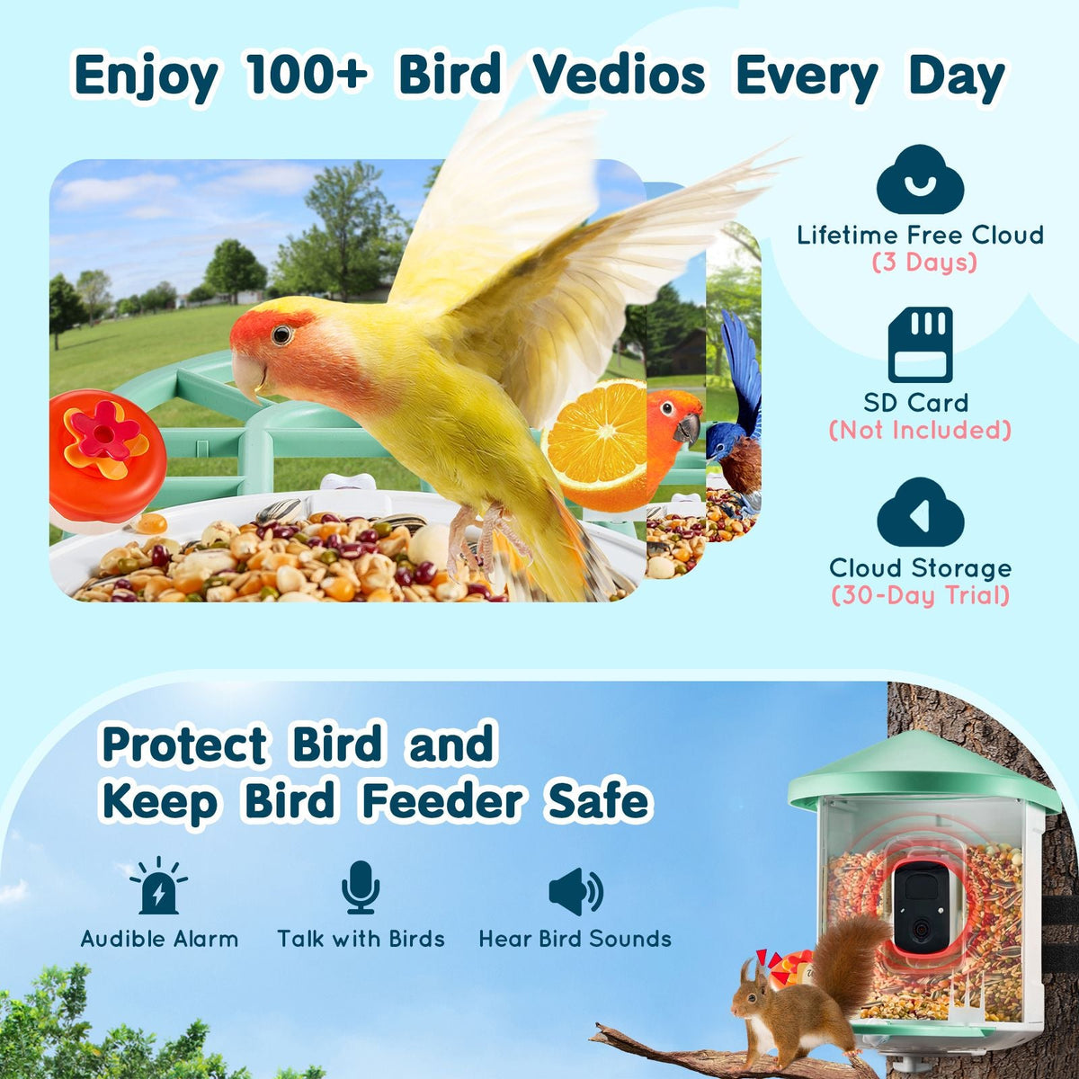 Smart Bird Feeder with Camera, 2K HD AI Identify 10000+ Bird Species, Solar-Powered Bird Watching Camera with Auto Capture & Instant Notify, Wireless Outdoor Gift for Bird Lover (2 Solar Panels)