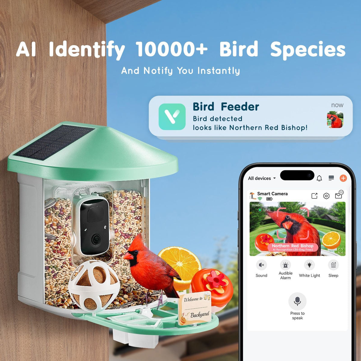 Smart Bird Feeder with Camera, 2K HD AI Identify 10000+ Bird Species, Solar-Powered Bird Watching Camera with Auto Capture & Instant Notify, Wireless Outdoor Gift for Bird Lover (2 Solar Panels)