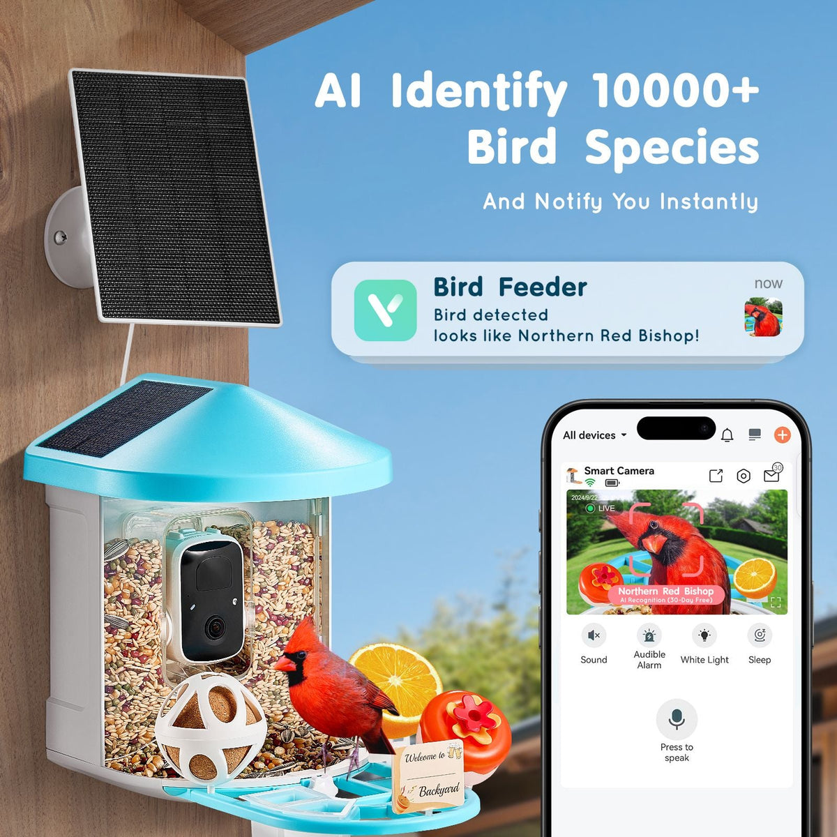 Smart Bird Feeder with Camera, 2K HD AI Identify 10000+ Bird Species, Solar-Powered Bird Watching Camera with Auto Capture & Instant Notify, Wireless Outdoor Gift for Bird Lover (3 Solar Panels)