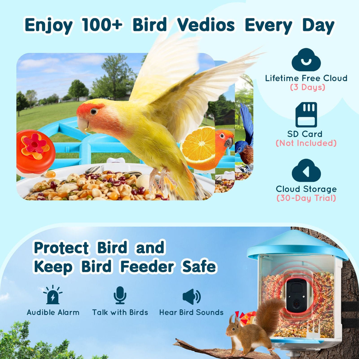 Smart Bird Feeder with Camera, 2K HD AI Identify 10000+ Bird Species, Solar-Powered Bird Watching Camera with Auto Capture & Instant Notify, Wireless Outdoor Gift for Bird Lover (3 Solar Panels)