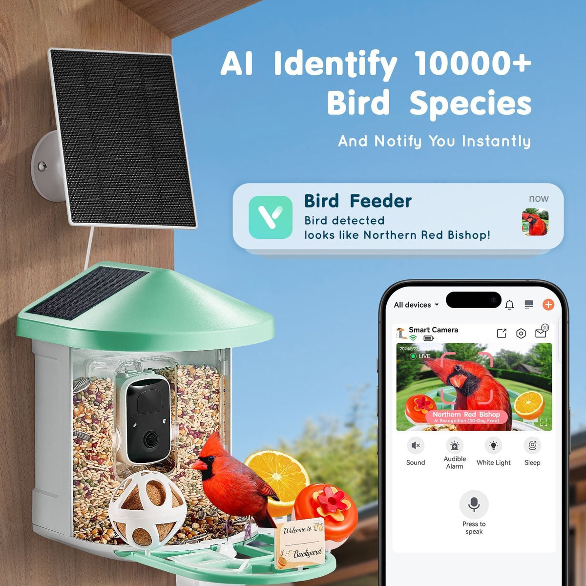 Smart Bird Feeder with Camera, 2K HD AI Identify 10000+ Bird Species, Solar-Powered Bird Watching Camera with Auto Capture & Instant Notify, Wireless Outdoor Gift for Bird Lover (3 Solar Panels)