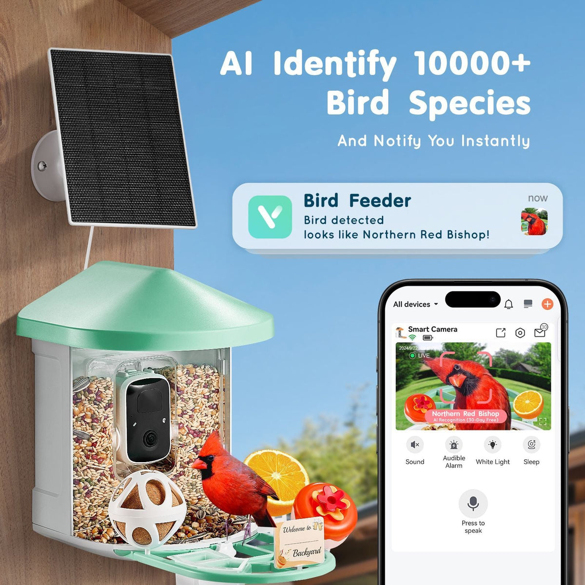 Smart Bird Feeder with Camera, 2K HD AI Identify 10,000+ Bird Species, Solar-Powered Bird Watching Camera with Auto Capture & Instant Notify, Wireless Outdoor Ideal Gift for Bird Lovers (Green)