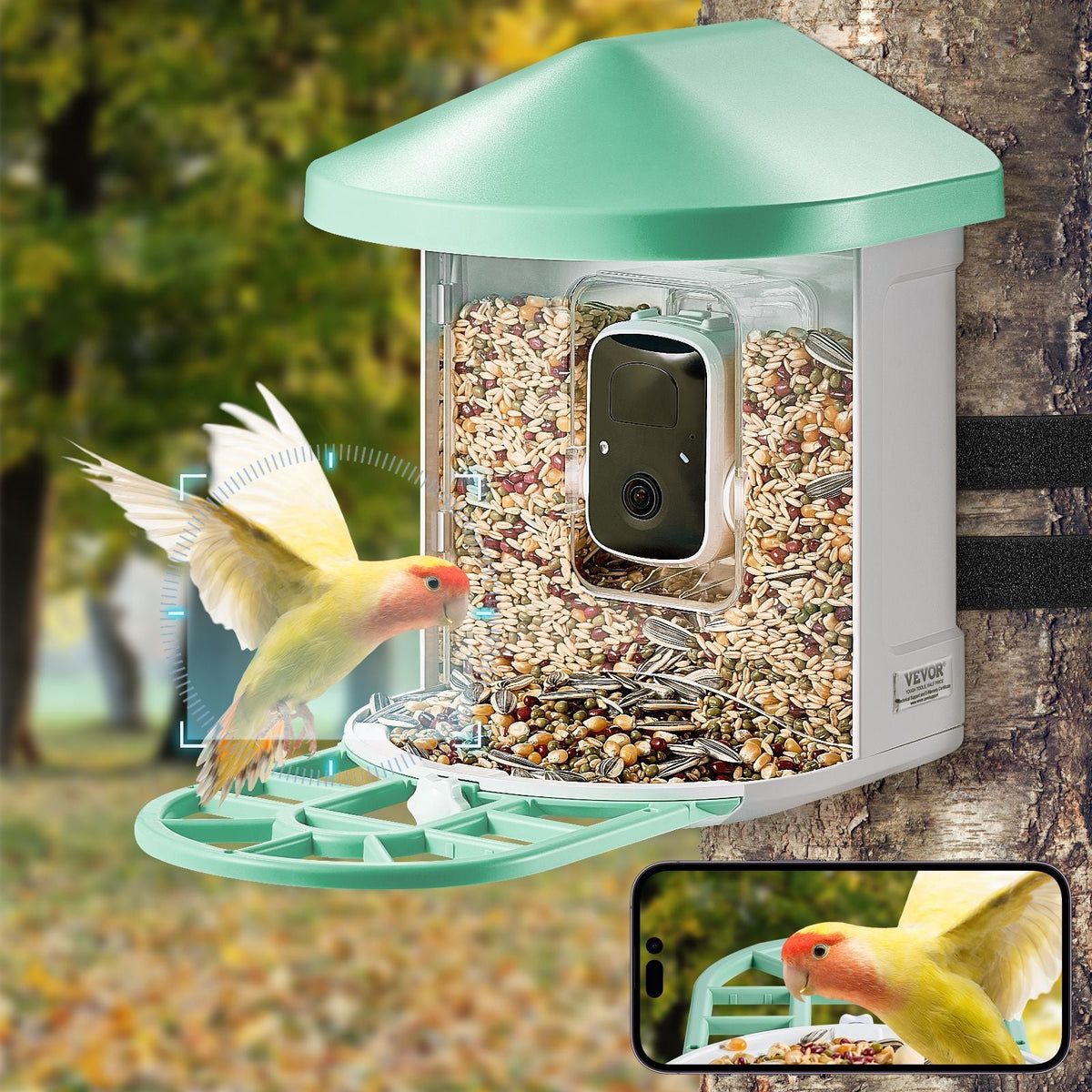 Smart Bird Feeder with Camera, 2K HD AI Identify 10,000+ Bird Species, Solar-Powered Bird Watching Camera with Auto Capture & Instant Notify, Wireless Outdoor Ideal Gift for Bird Lovers (Green)