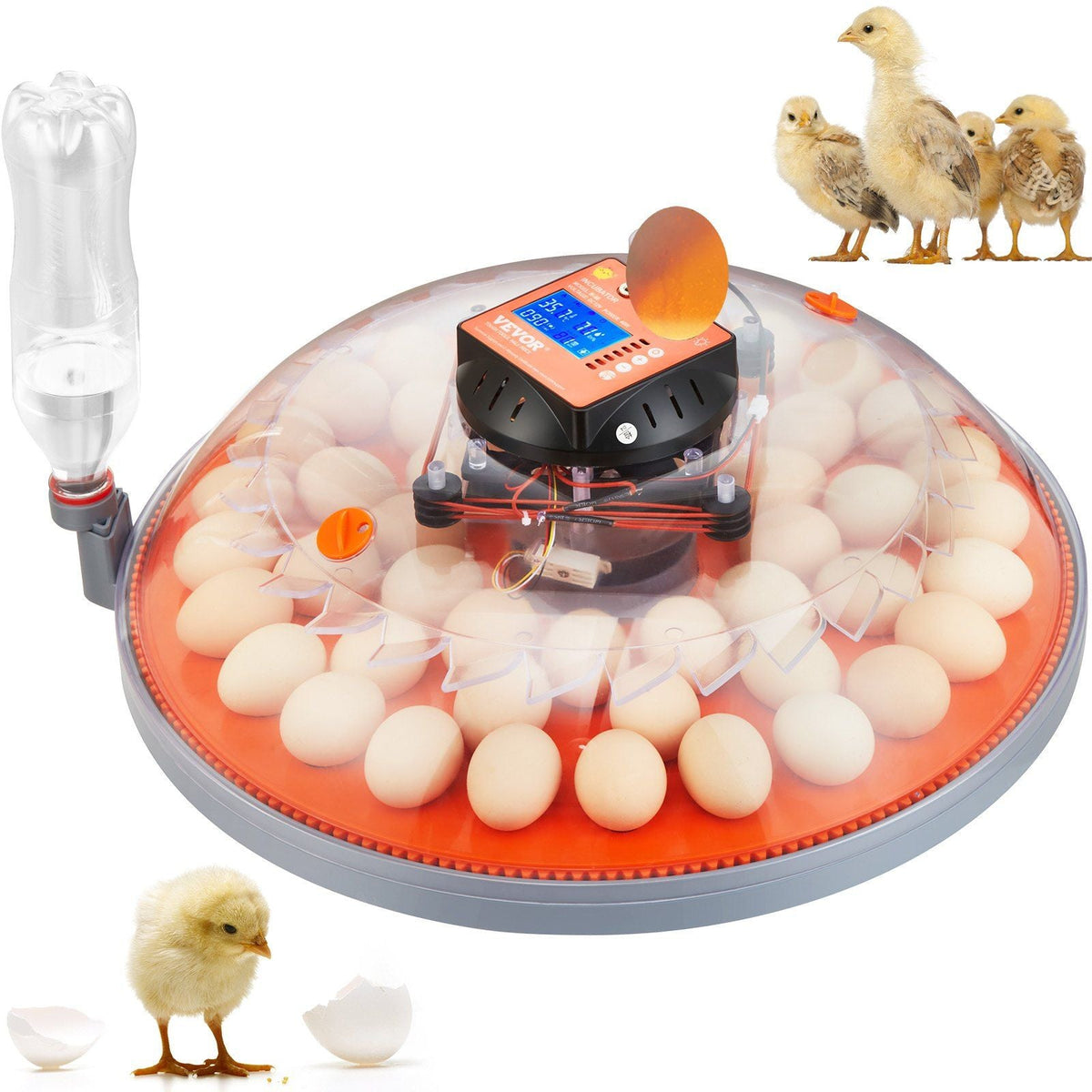 48 Egg Incubator, Incubators for Hatching Eggs, 360° Automatic Egg Turner with Temperature and Humidity Display, 48 Eggs Poultry Hatcher with ABS Transparent Shell for Chicken, Duck, Quail
