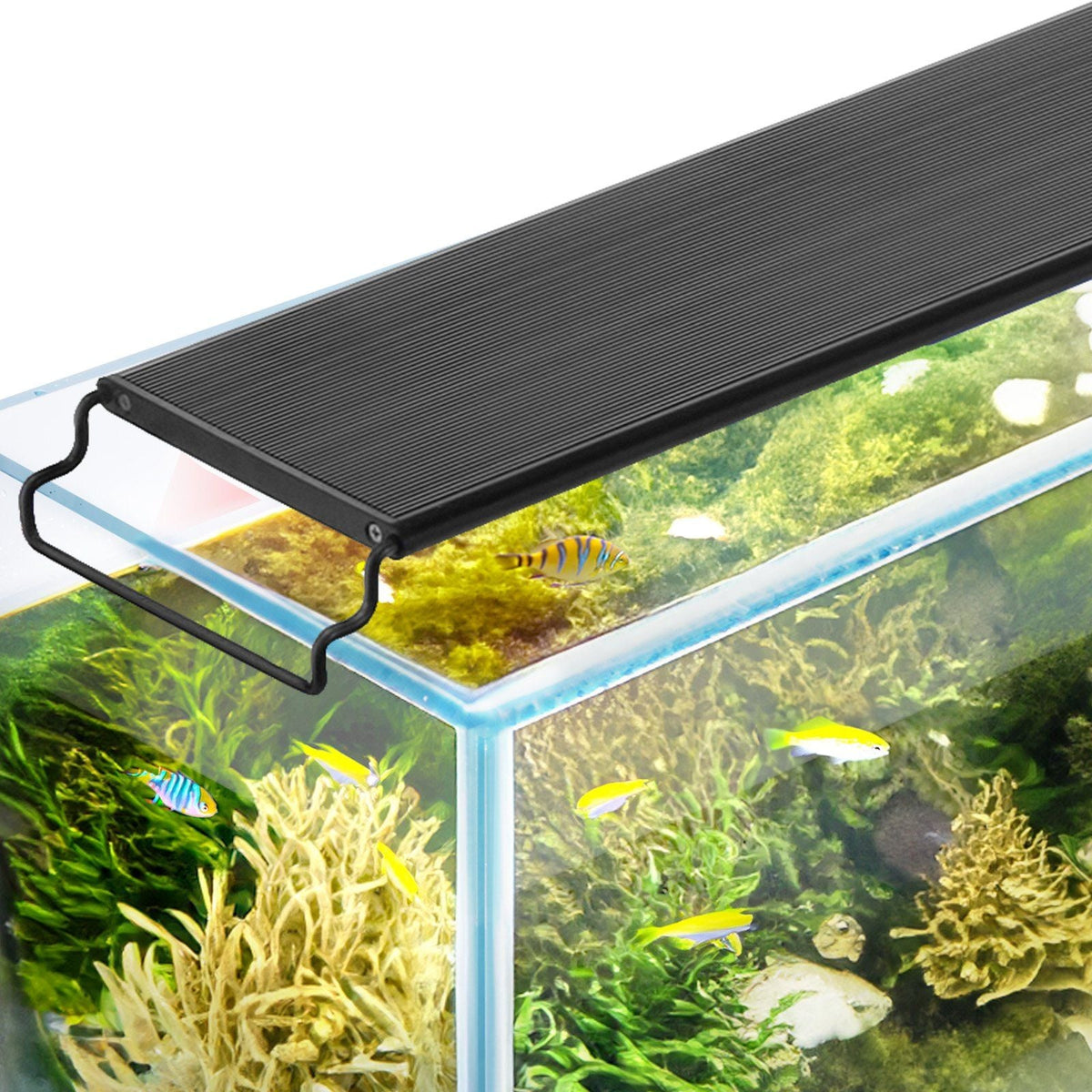 Aquarium Light with LCD Monitor, 42W Full Spectrum Fish Tank Light with 24/7 Natural Mode, Adjustable Brightness & Timer - Aluminum Alloy Shell Extendable Brackets for 48"-54" Freshwater Tank