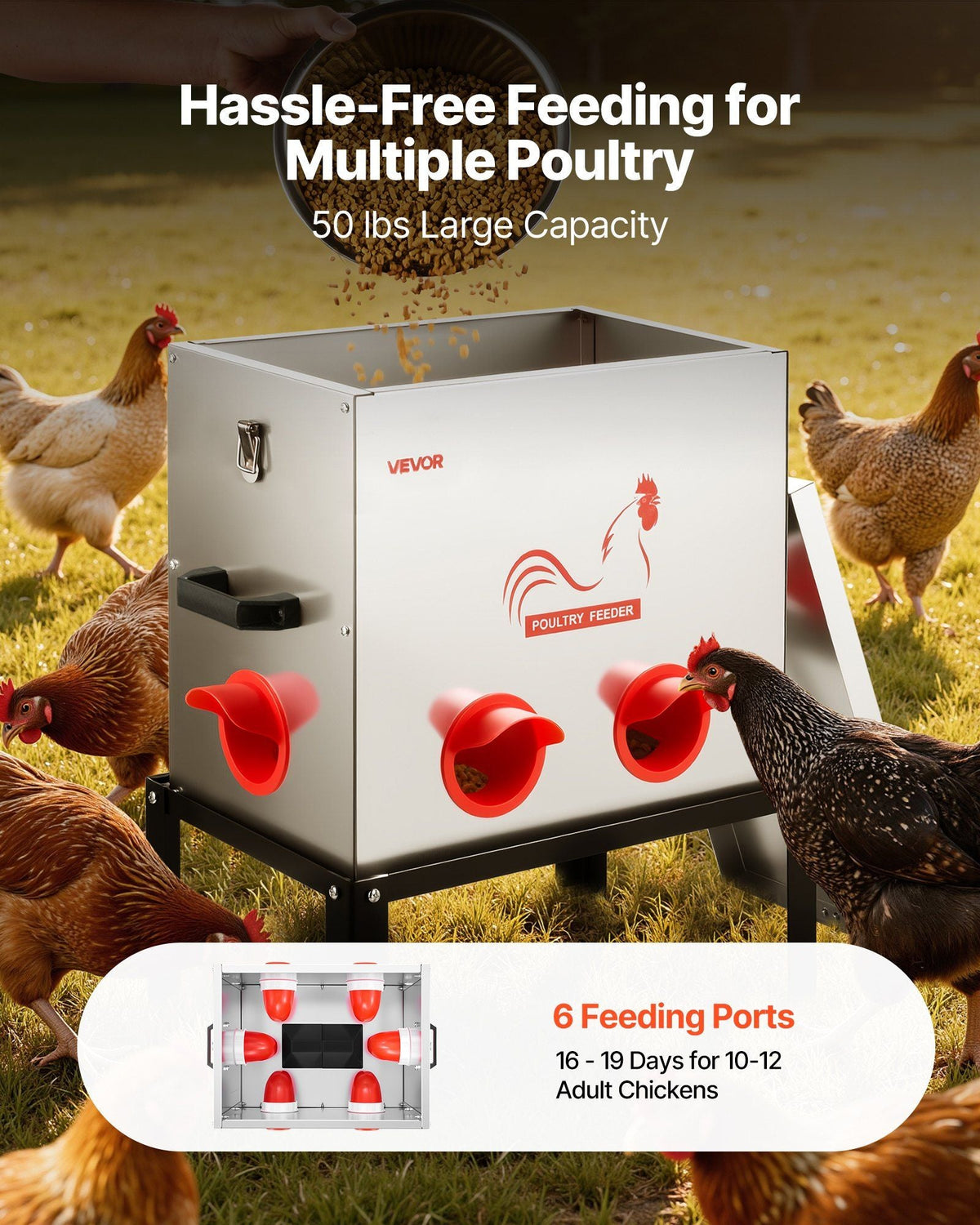 Automatic Chicken Feeder, 50 lbs Capacity, 6 Feeding Ports No-Waste Poultry Feeder with Built-In Divider, with Latch & Handle, Metal Construction, for Chickens Bantams Pheasants Poultry Coop