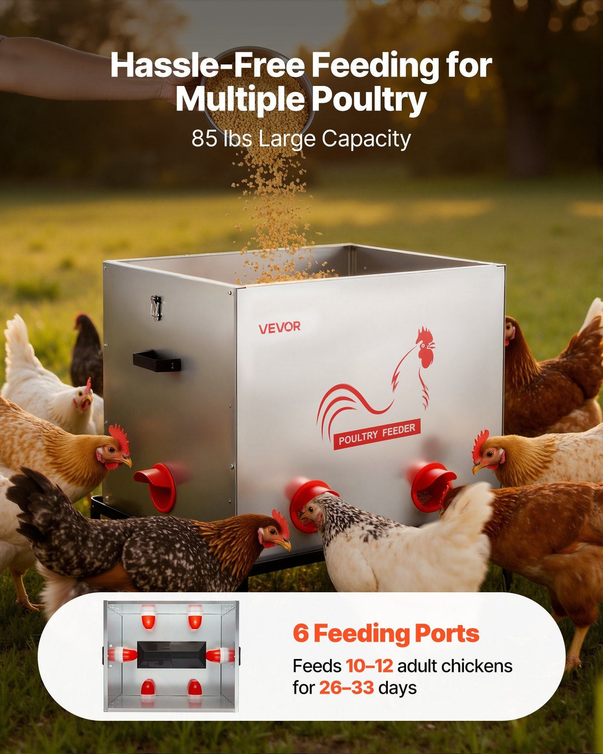 Automatic Chicken Feeder, 85 lbs Capacity, 6 Feeding Ports No-Waste Poultry Feeder with Built-In Divider, with Latch & Handle, Metal Construction, for Chickens Bantams Pheasants Poultry Coop
