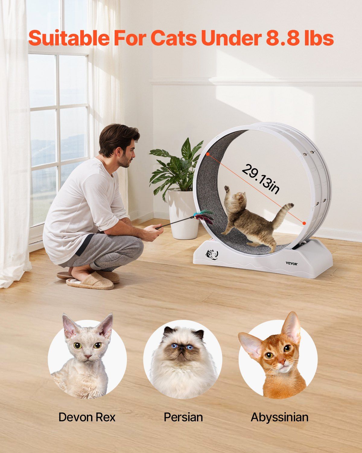 Cat Exercise Wheel 31.5 in Large Indoor Cat Running Wheel Treadmill White