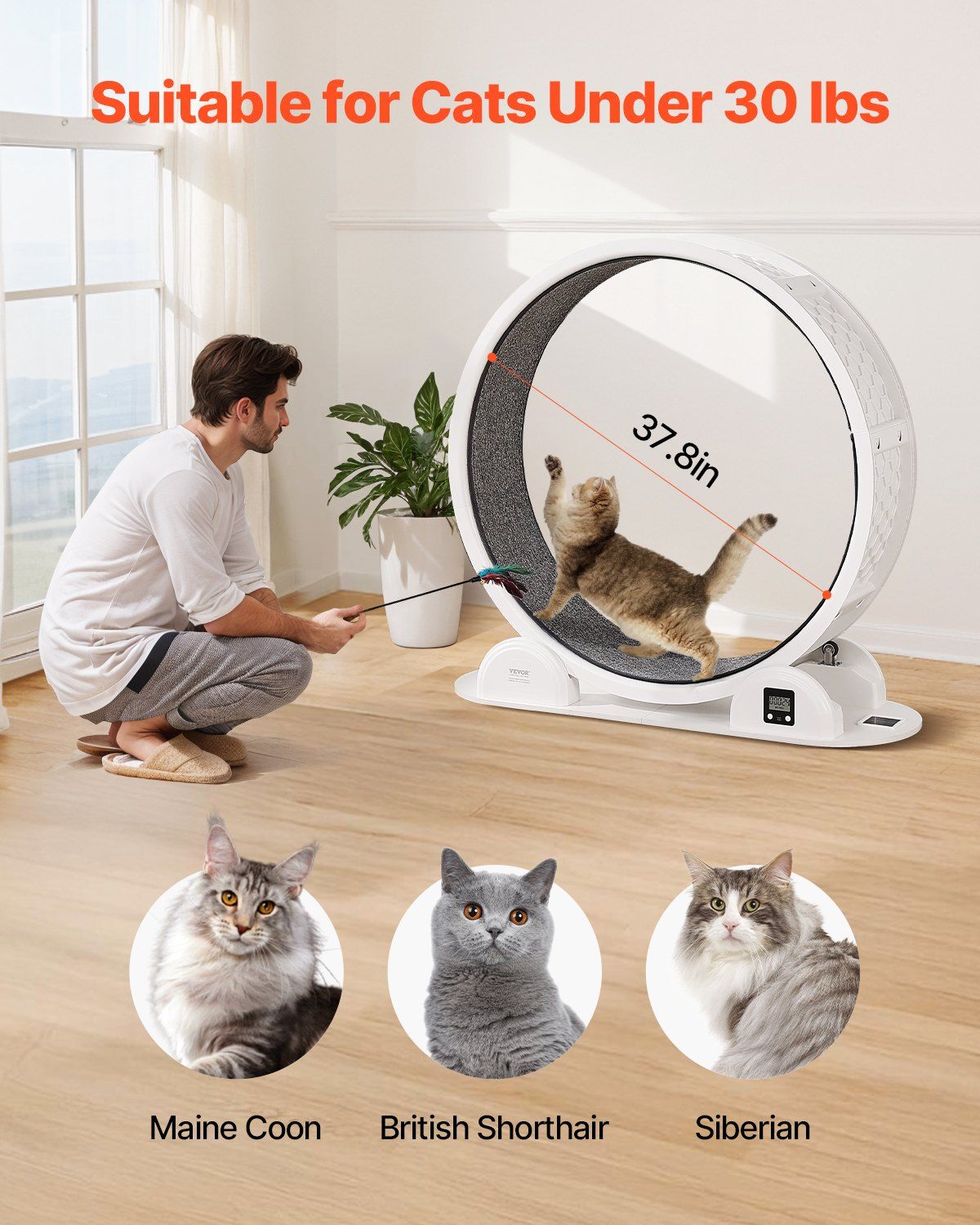 Cat Exercise Wheel with Pedometer 40.8" Cat Treadmill for Pet Health White